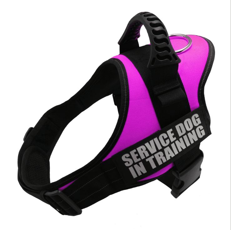 Explosafe Pet Leash: The Ultimate Safety Harness For Your Furry Friend