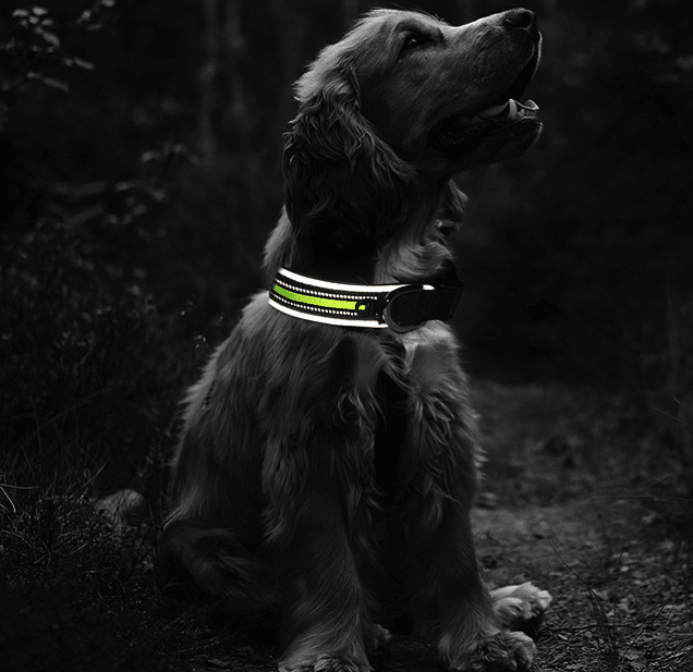 Reflective Grid Pattern Neoprene Pet Collars - Stylish Safety Accessories For Dogs And Cats