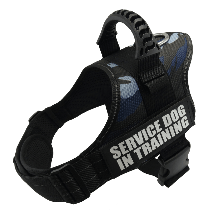 Explosafe Pet Leash: The Ultimate Safety Harness For Your Furry Friend