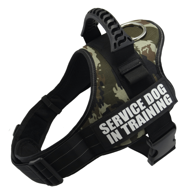 Explosafe Pet Leash: The Ultimate Safety Harness For Your Furry Friend