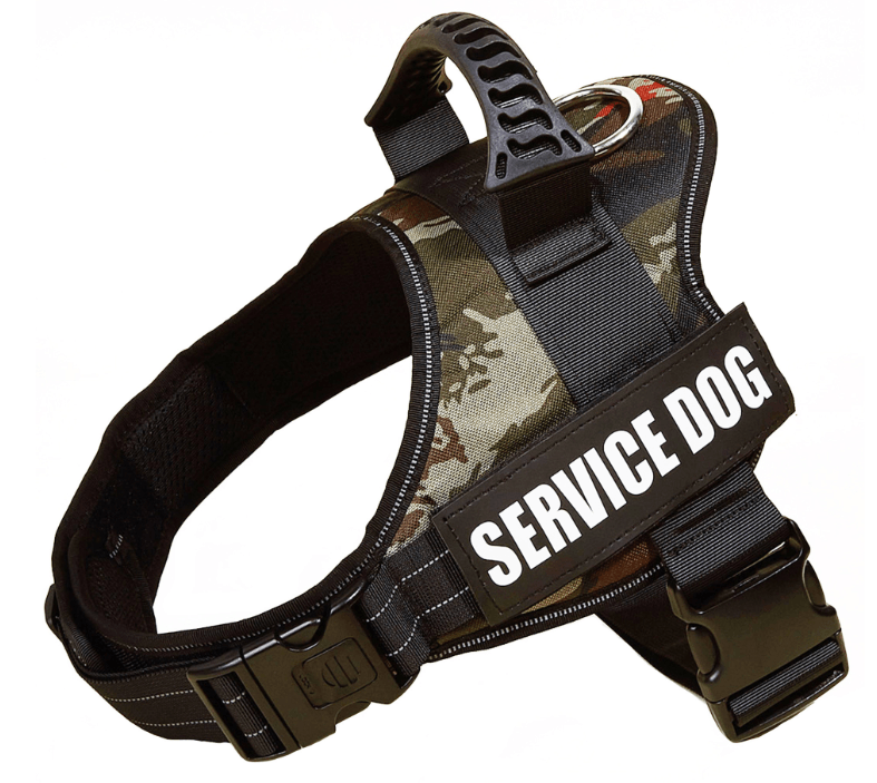 Explosafe Pet Leash: The Ultimate Safety Harness For Your Furry Friend