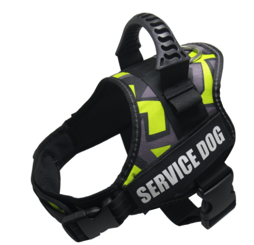 Explosafe Pet Leash: The Ultimate Safety Harness For Your Furry Friend