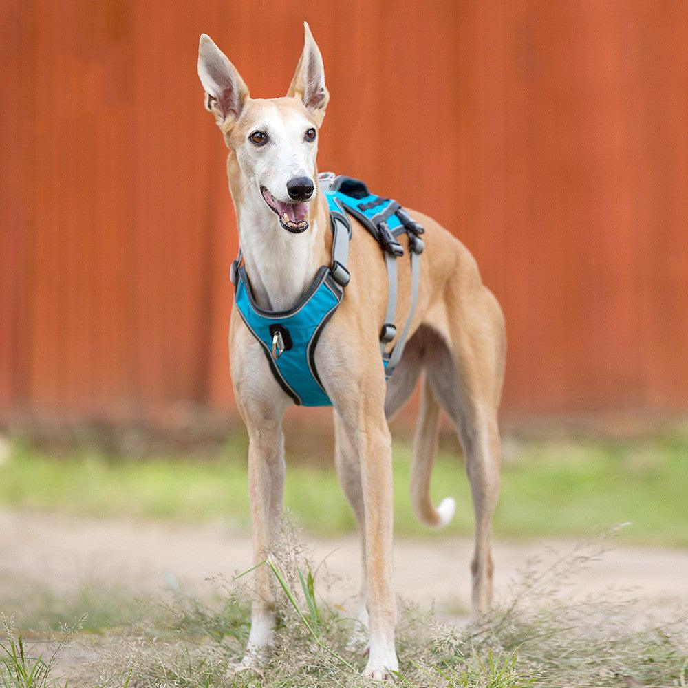 Reflective Comfortfit Pet Chest Harness Vest With Adjustable Traction Rope