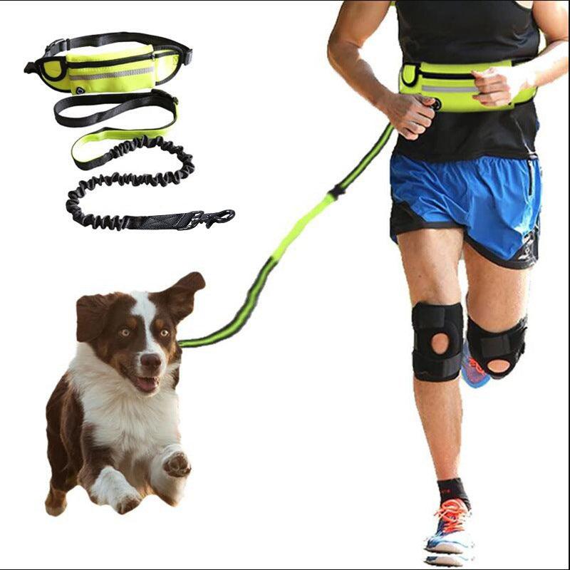 Ultimate Hands-Free Dog Leash Belt With Bungee Leash, Phone Pocket, And Water Bottle Holder