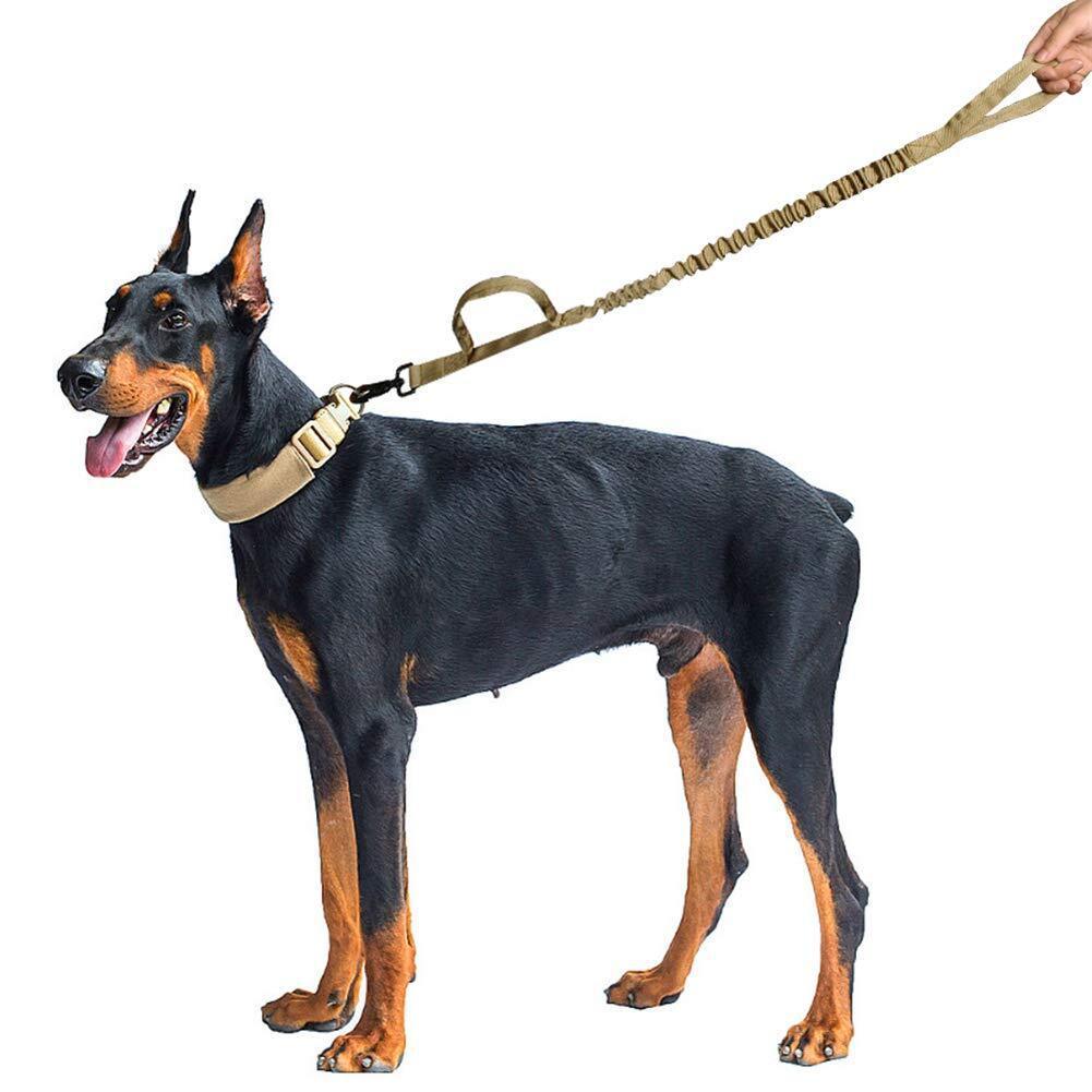 Tactical Elastic Control Dog Leash