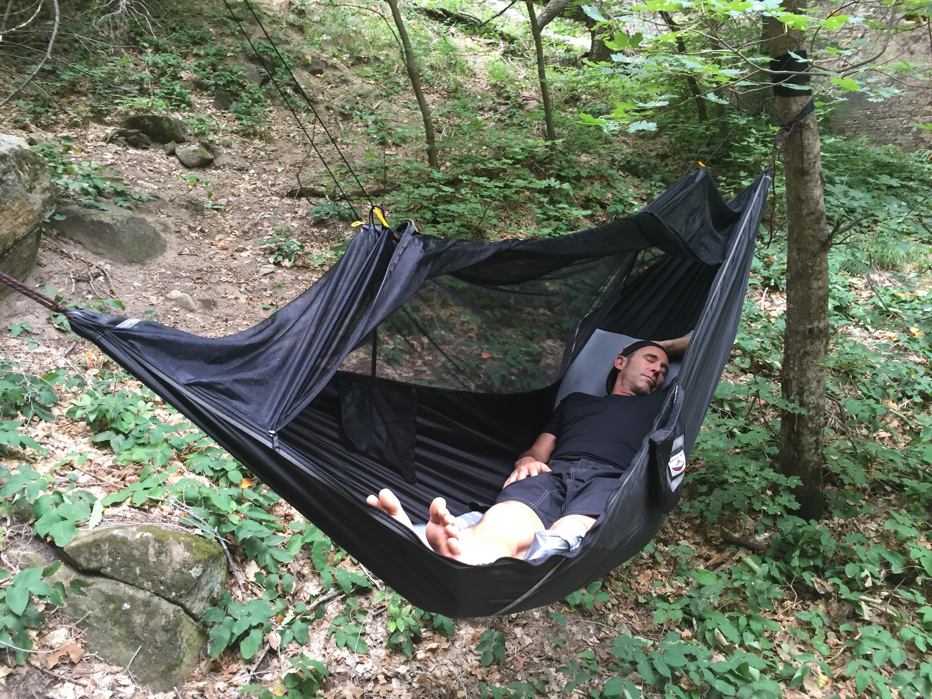 Sky Bed Bug Free
