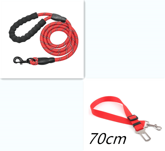 Reflective Comfort Leash - Premium Nylon Dog Leash For Walking And Training - Ultimate Pet Safety And Control