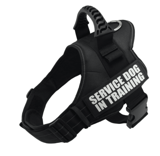 Explosafe Pet Leash: The Ultimate Safety Harness For Your Furry Friend