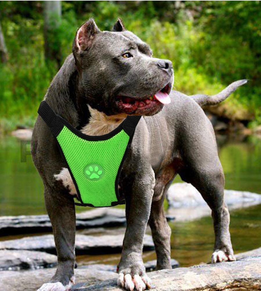 Breathable Mesh Pet Car Safety Chest Harness